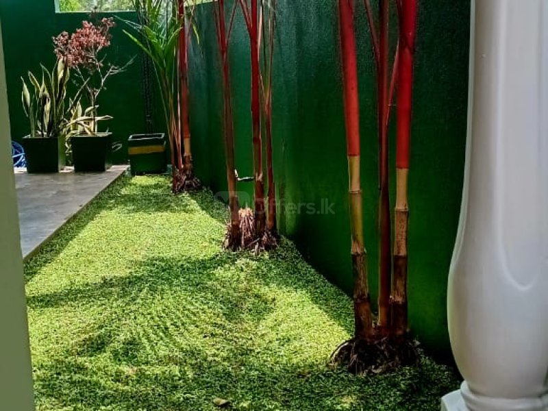 landscaping indoor plants interior designs plants for sale