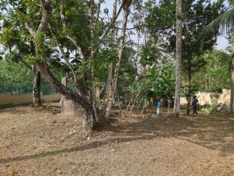 Land for sale in Homagama
30P
Beruketiya Homagama