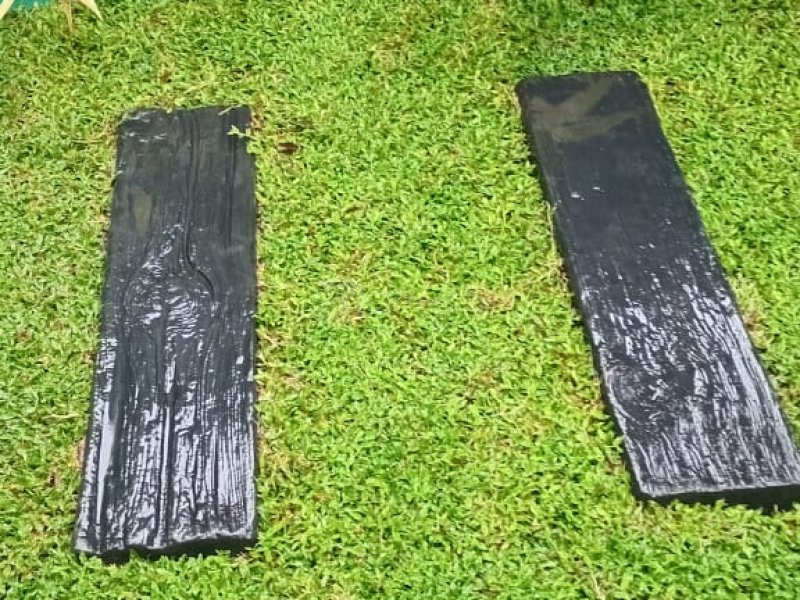 landscaping indoor plants interior designs plants for sale - Image 5