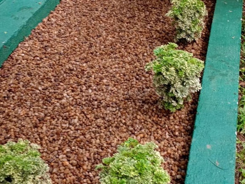 landscaping indoor plants interior designs plants for sale - Image 3