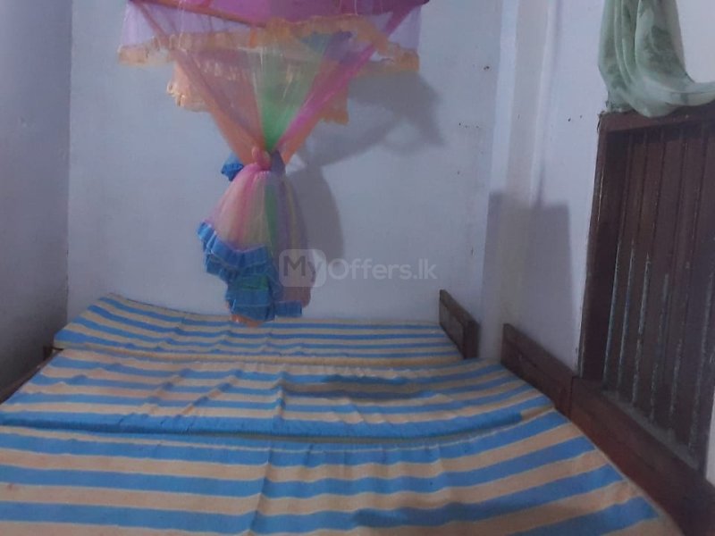 Annex for rent 3 student at ratmalana. 3 beds, attached bathroom and kitchen
