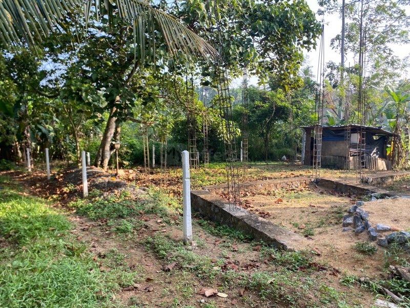 පිළියන්දල  මඩපාත පාරේ බටකැත්තර හංදිය�