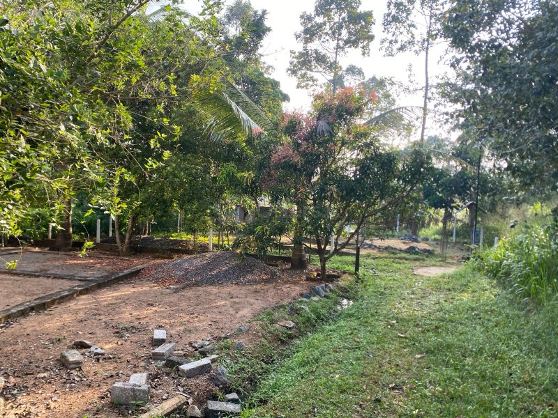 පිළියන්දල  මඩපාත පාරේ බටකැත්තර හංදිය� - Image 2