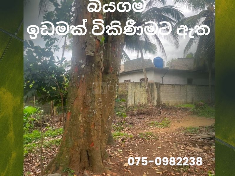 	බියගම නිදහස් වෙළද කලාපයට 450 මිටර් ක්  �