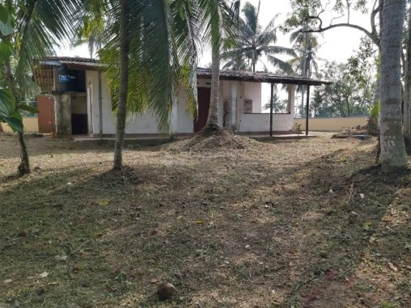 Land for sale in Homagama
30P
Beruketiya Homagama - Image 2