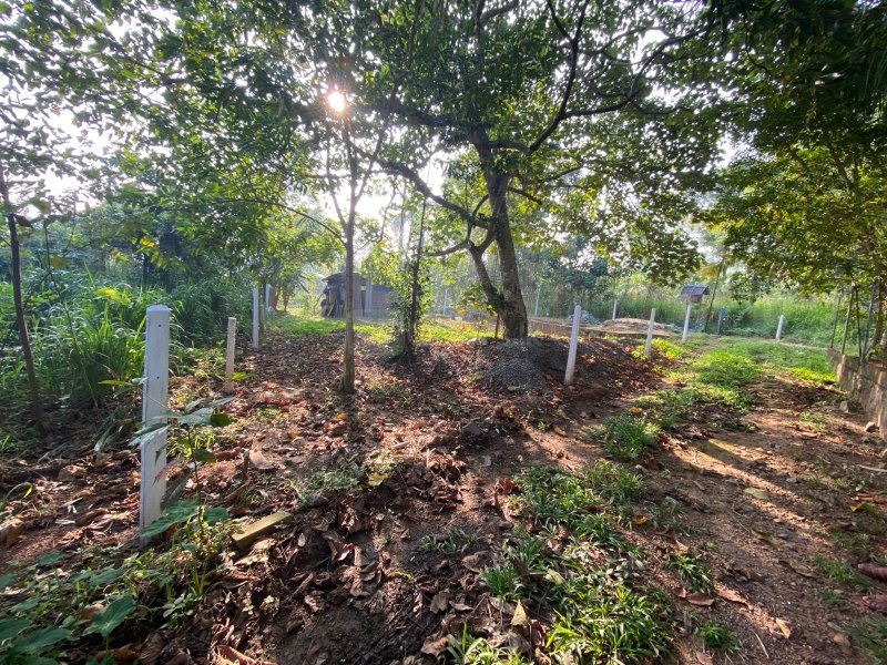 පිළියන්දල  මඩපාත පාරේ බටකැත්තර හංදිය� - Image 4