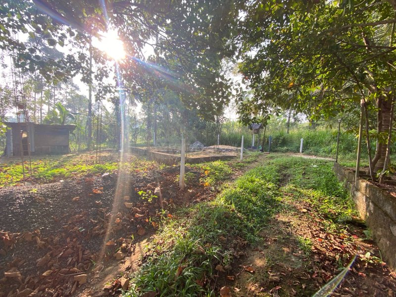 පිළියන්දල  මඩපාත පාරේ බටකැත්තර හංදිය� - Image 5