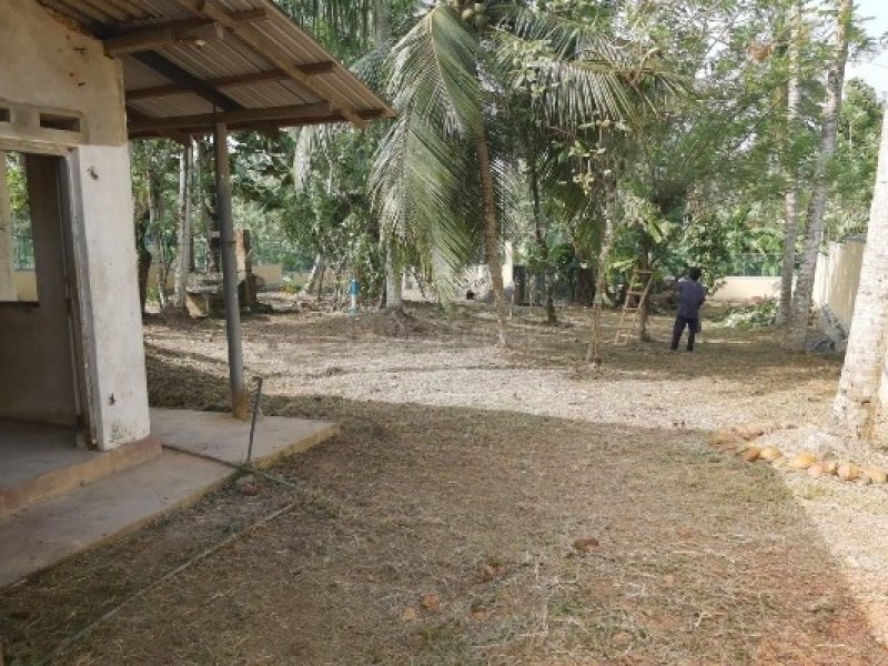 Land for sale in Homagama
30P
Beruketiya Homagama - Image 3