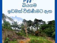 	බියගම නිදහස් වෙළද කලාපයට 450 මිටර් ක්  � - Image 3