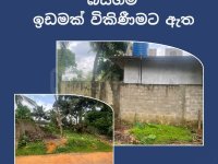 	බියගම නිදහස් වෙළද කලාපයට 450 මිටර් ක්  � - Image 2