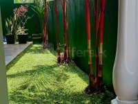 landscaping indoor plants interior designs plants for sale