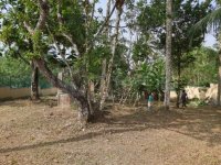 Land for sale in Homagama
30P
Beruketiya Homagama