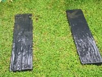 landscaping indoor plants interior designs plants for sale - Image 5