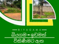 	බියගම නිදහස් වෙළද කලාපයට 450 මිටර් ක්  � - Image 4