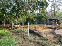 පිළියන්දල  මඩපාත පාරේ බටකැත්තර හංදිය�