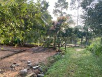 පිළියන්දල  මඩපාත පාරේ බටකැත්තර හංදිය� - Image 2