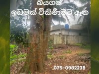 	බියගම නිදහස් වෙළද කලාපයට 450 මිටර් ක්  �