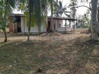 Land for sale in Homagama
30P
Beruketiya Homagama - Image 2