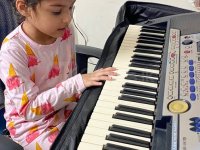 Learn to play with both hands in 5 months all in practical from the beginning. Online lessons and ho