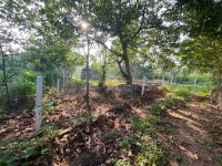 පිළියන්දල  මඩපාත පාරේ බටකැත්තර හංදිය� - Image 4